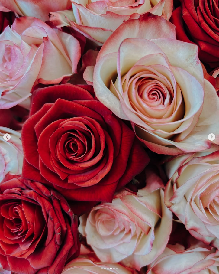 Valentinstag_Rosen-2