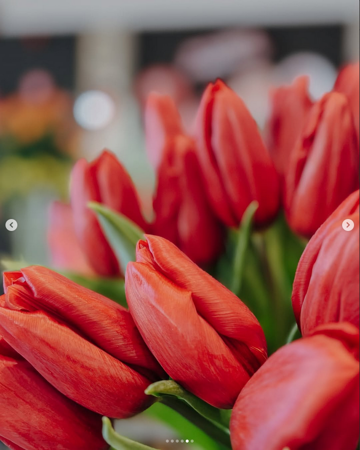 Valentinstag_Tulpen-2